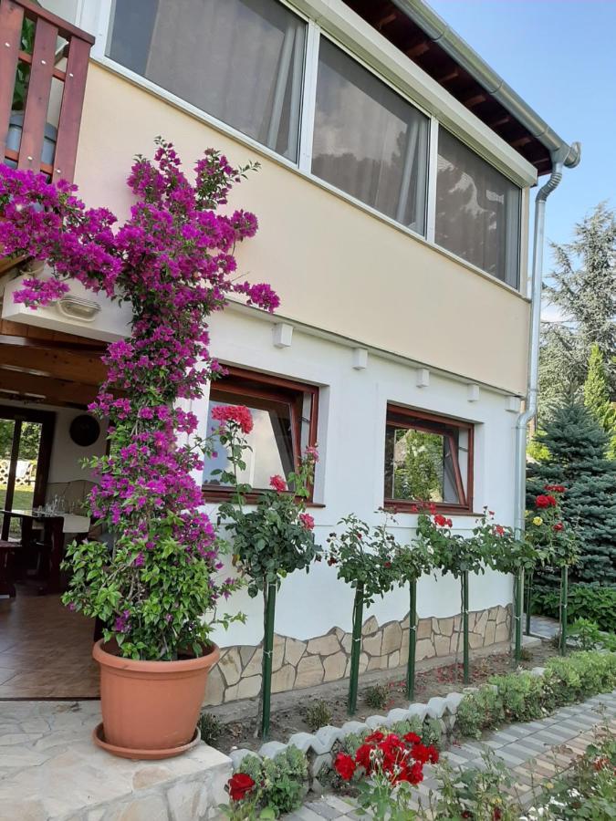 Bed and Breakfast Rozsakert Vendeghaz Сиглигет Экстерьер фото